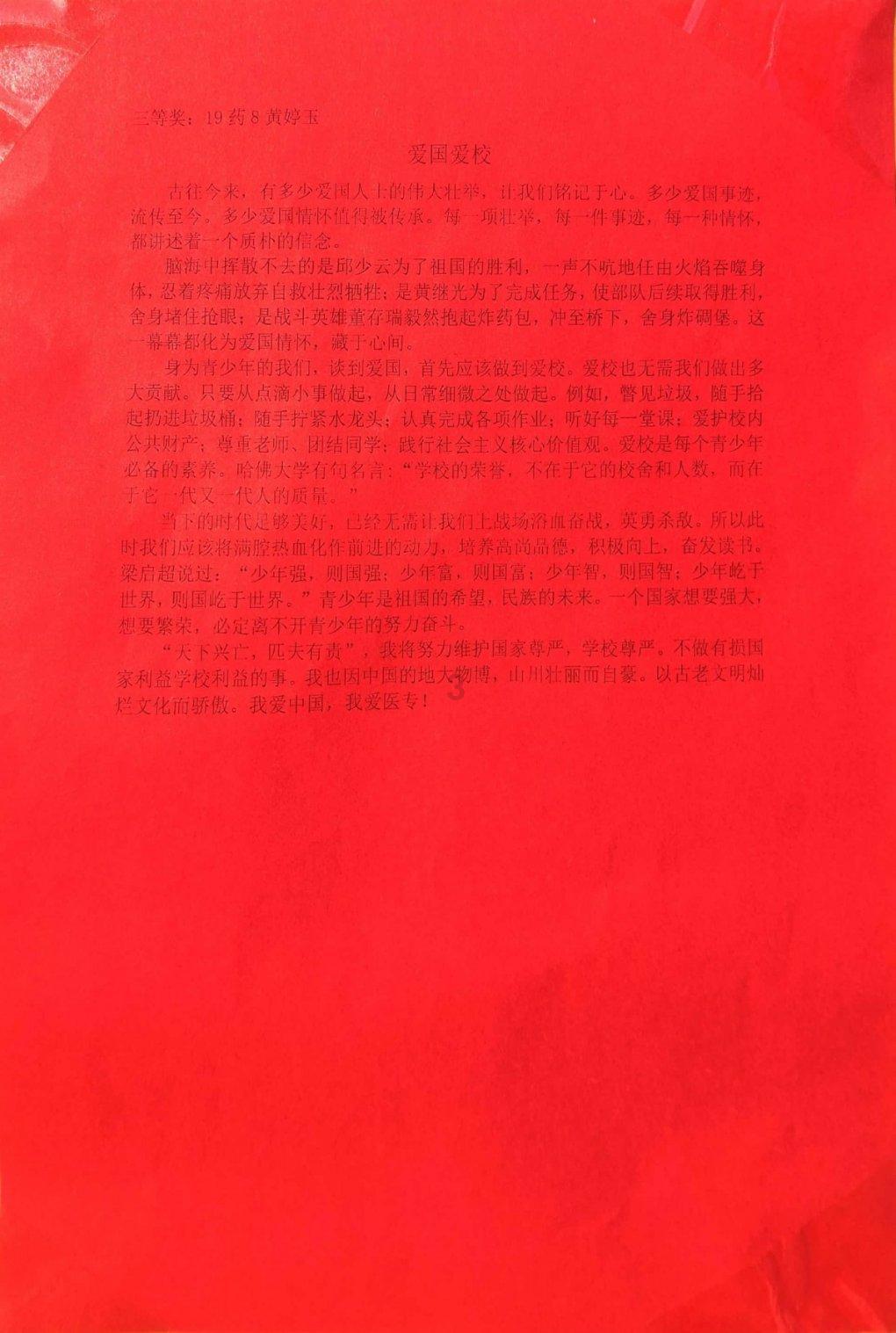 雨后盛放